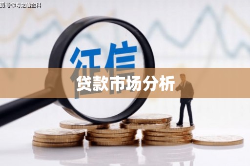 子洲贷款市场分析