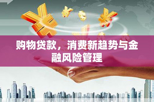 子洲购物贷款，消费新趋势与金融风险管理