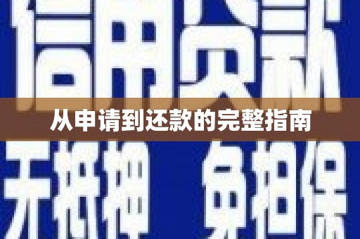 子洲从申请到还款的完整指南