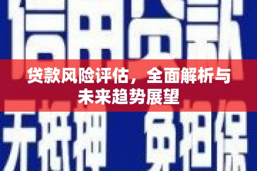 子洲贷款风险评估，全面解析与未来趋势展望