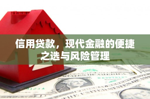 子洲信用贷款，现代金融的便捷之选与风险管理