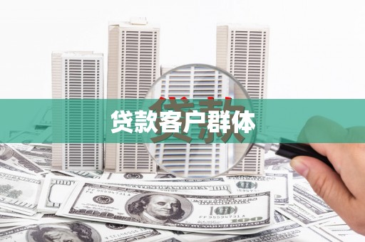 子洲贷款客户群体