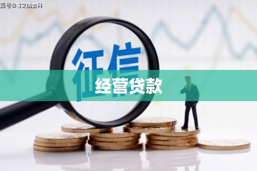 子洲经营贷款