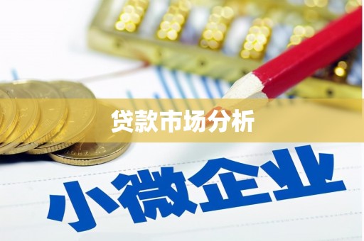 子洲贷款市场分析