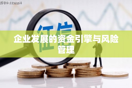 子洲企业发展的资金引擎与风险管理