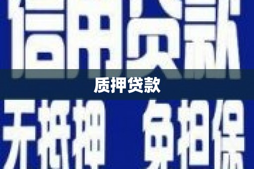 子洲质押贷款