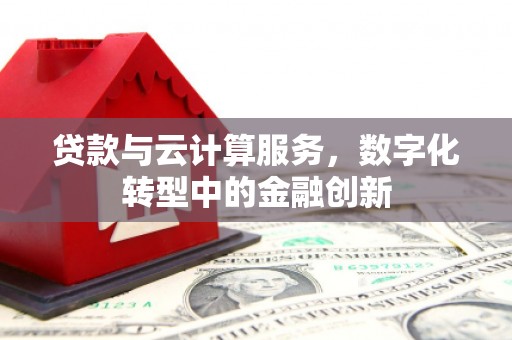 子洲贷款与云计算服务，数字化转型中的金融创新