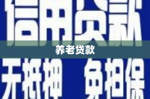 子洲养老贷款