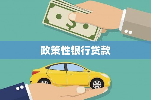 子洲政策性银行贷款