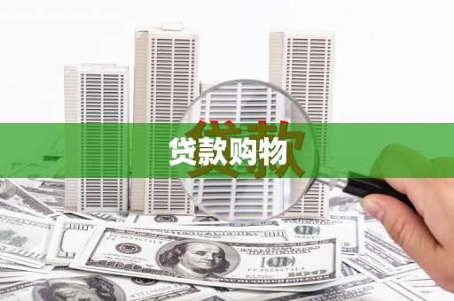 子洲贷款购物