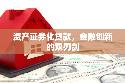 子洲资产证券化贷款，金融创新的双刃剑