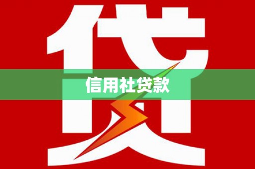 子洲信用社贷款