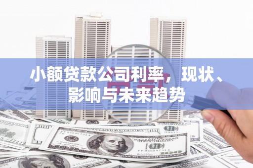 子洲小额贷款公司利率，现状、影响与未来趋势