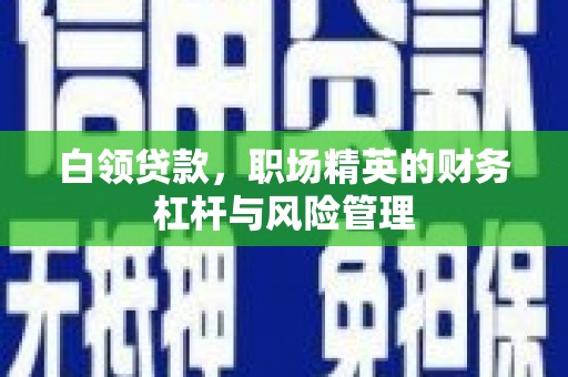 子洲白领贷款，职场精英的财务杠杆与风险管理