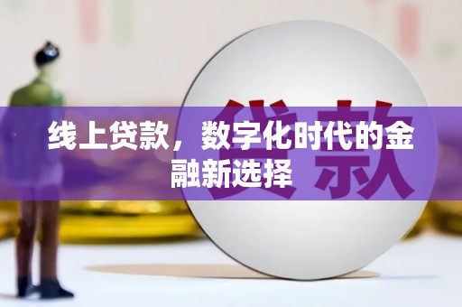 子洲线上贷款，数字化时代的金融新选择