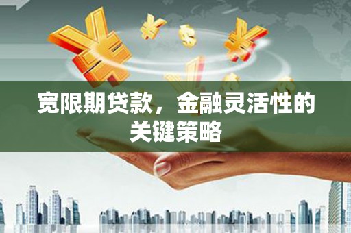 子洲宽限期贷款，金融灵活性的关键策略