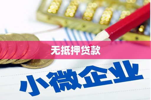 子洲无抵押贷款