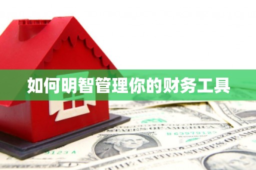 子洲如何明智管理你的财务工具