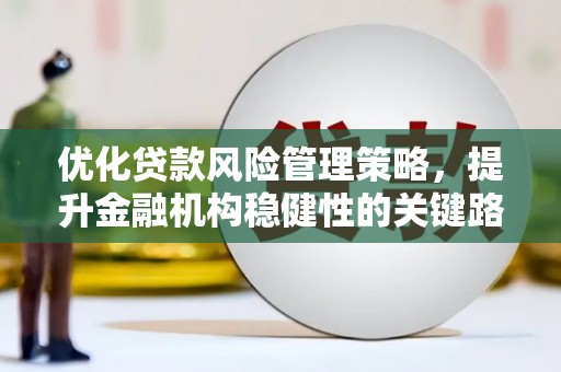 子洲优化贷款风险管理策略，提升金融机构稳健性的关键路径