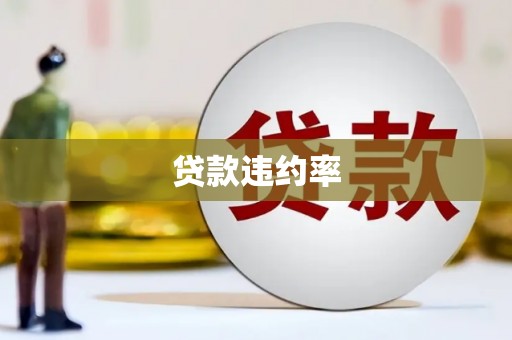 子洲贷款违约率
