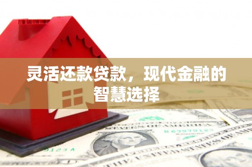 子洲灵活还款贷款，现代金融的智慧选择
