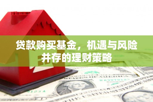 子洲贷款购买基金，机遇与风险并存的理财策略