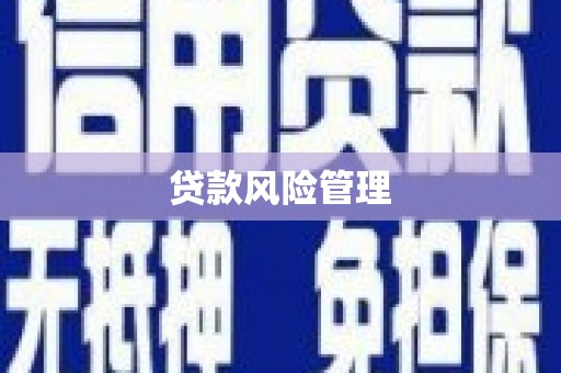 子洲贷款风险管理