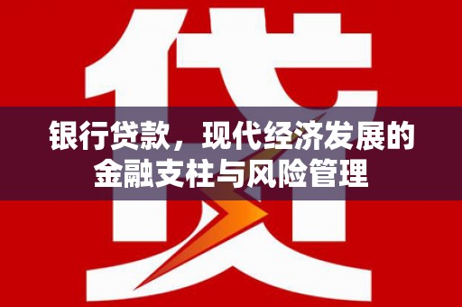 子洲银行贷款，现代经济发展的金融支柱与风险管理