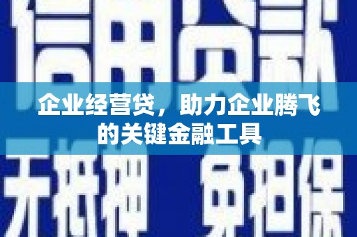 子洲企业经营贷，助力企业腾飞的关键金融工具