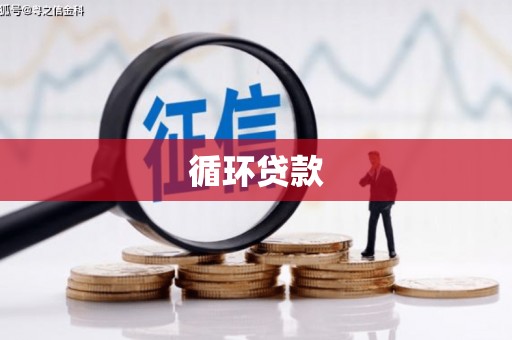 子洲循环贷款