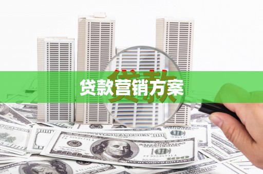 子洲贷款营销方案