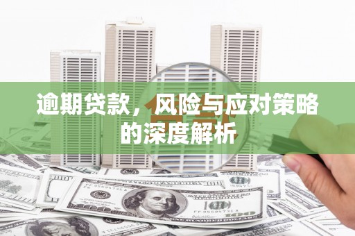 子洲逾期贷款，风险与应对策略的深度解析