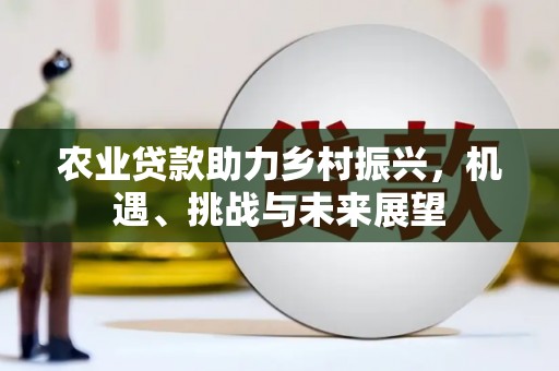 子洲农业贷款助力乡村振兴，机遇、挑战与未来展望
