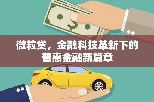 子洲微粒贷，金融科技革新下的普惠金融新篇章