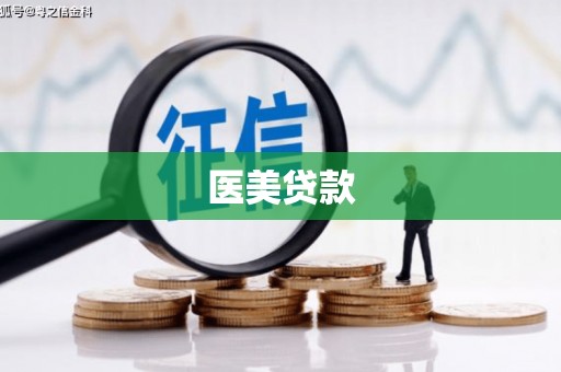 子洲医美贷款