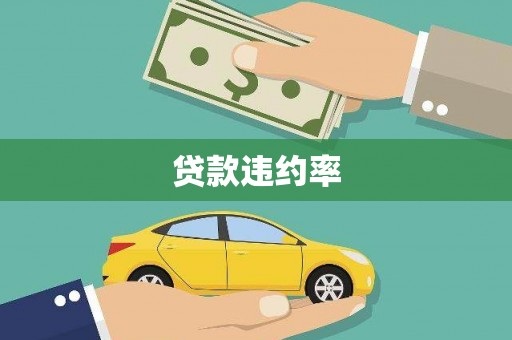 子洲贷款违约率