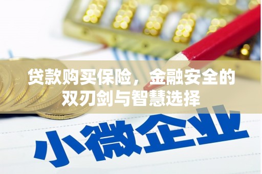 子洲贷款购买保险，金融安全的双刃剑与智慧选择