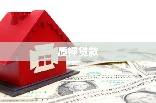子洲质押贷款