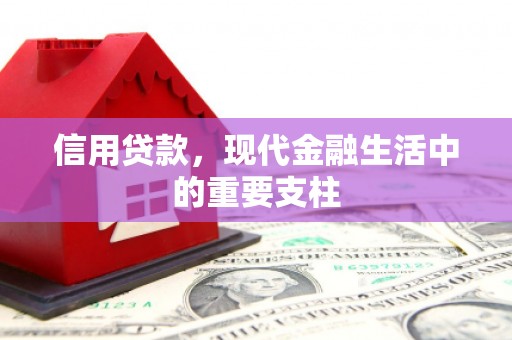 子洲信用贷款，现代金融生活中的重要支柱