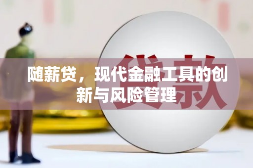 子洲随薪贷，现代金融工具的创新与风险管理