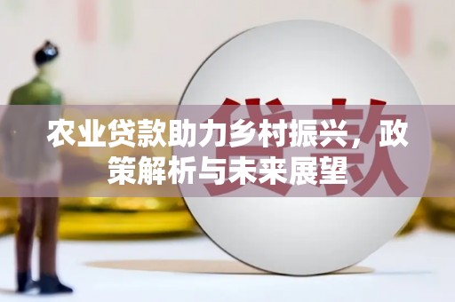 子洲农业贷款助力乡村振兴，政策解析与未来展望