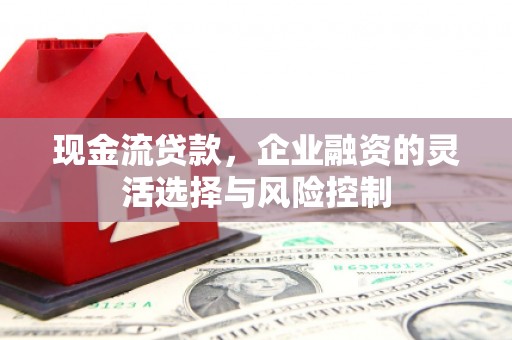 子洲现金流贷款，企业融资的灵活选择与风险控制