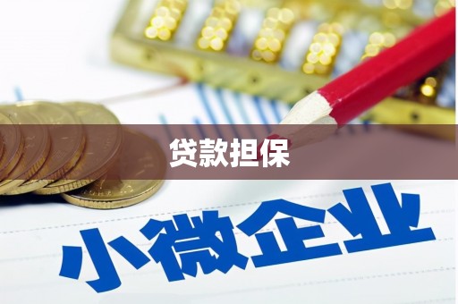 子洲贷款担保