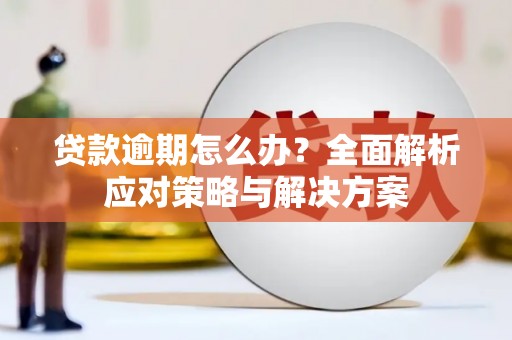 子洲贷款逾期怎么办？全面解析应对策略与解决方案