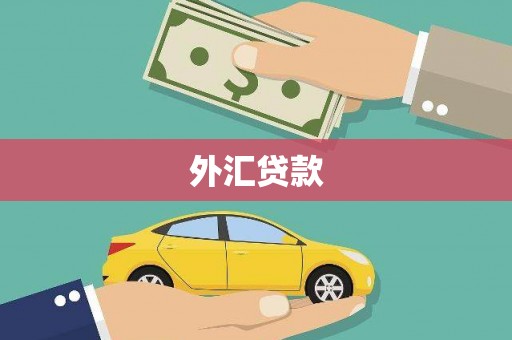 子洲外汇贷款