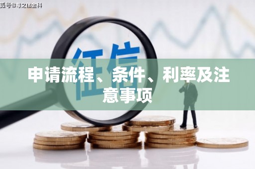 子洲申请流程、条件、利率及注意事项