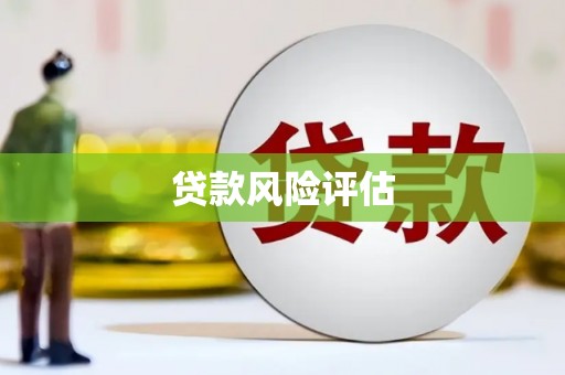 子洲贷款风险评估