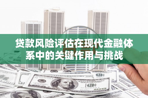 子洲贷款风险评估在现代金融体系中的关键作用与挑战