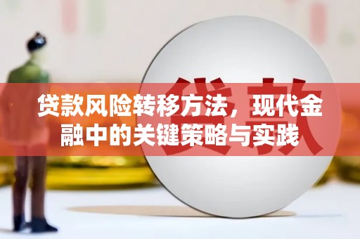 子洲贷款风险转移方法，现代金融中的关键策略与实践