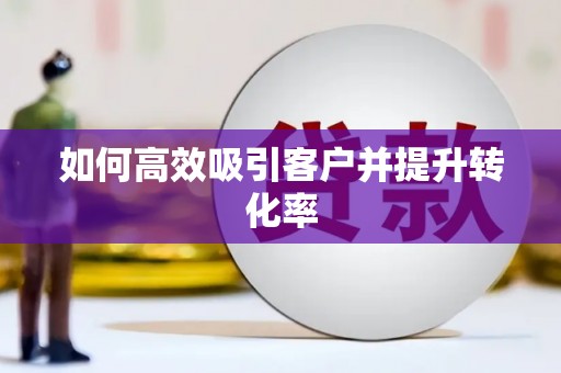 子洲如何高效吸引客户并提升转化率